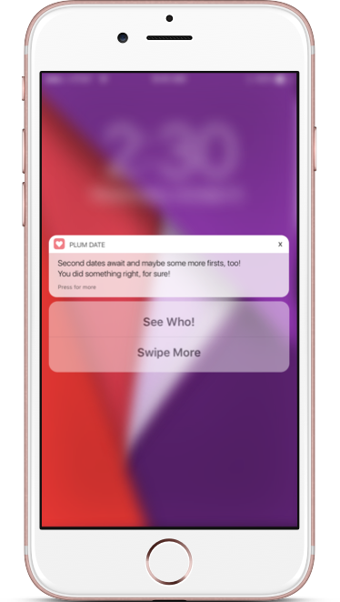 Rich push notification - Plum Date